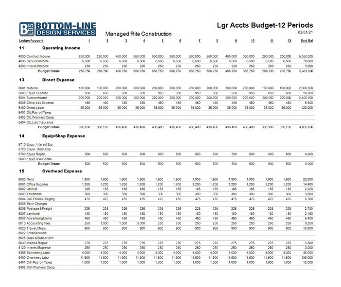 02-03-00-01c Projected (BUDGET) Income Statement  -  12 Periods